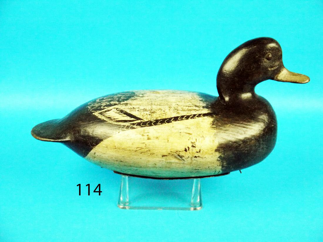 BLUEBILL DRAKE, I. HUDSON (1 of 1)