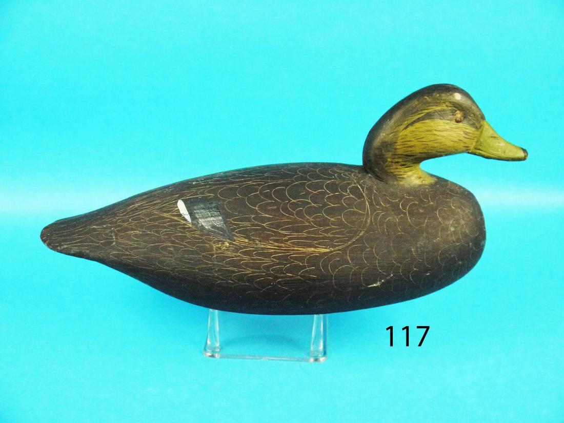 BLACK DUCK, I. HUDSON (1 of 1)