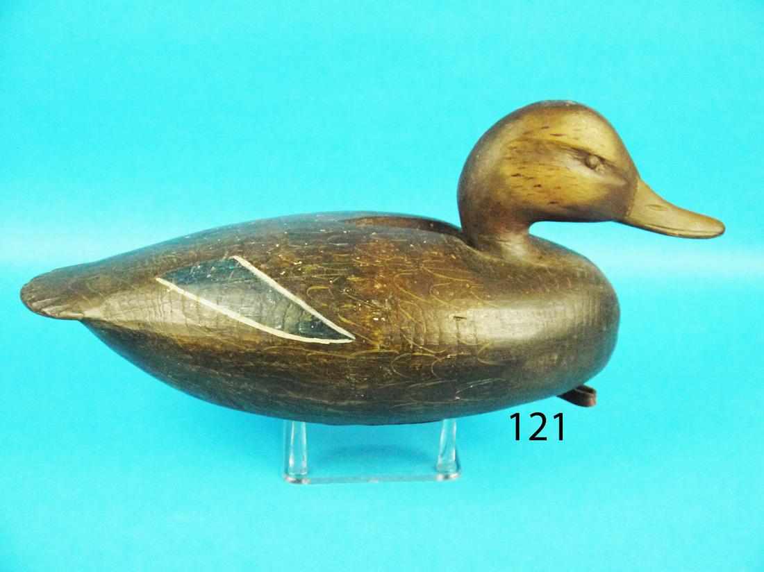 BLACK DUCK, I. HUDSON (1 of 1)