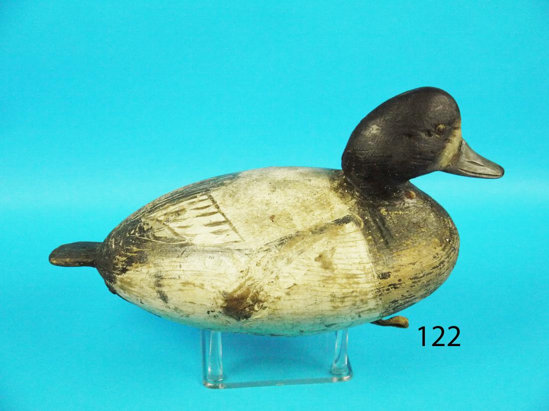 BLUEBILL DRAKE, I. HUDSON (1 of 1)