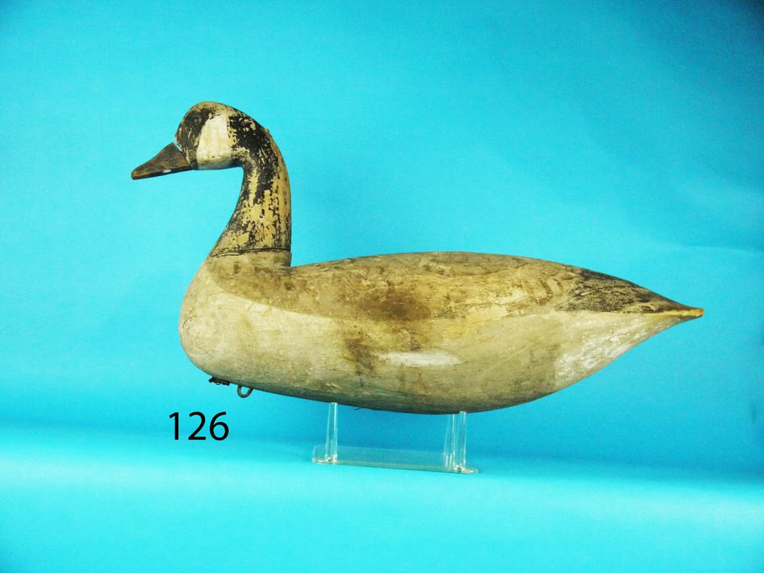 CANADA GOOSE, C. BIRCH (1 of 1)