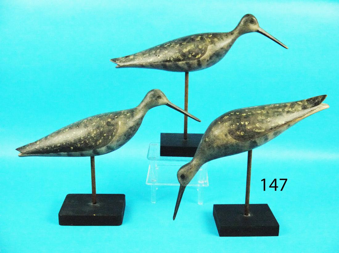 THREE YELLOWLEGS, D. RHODES (1 of 1)