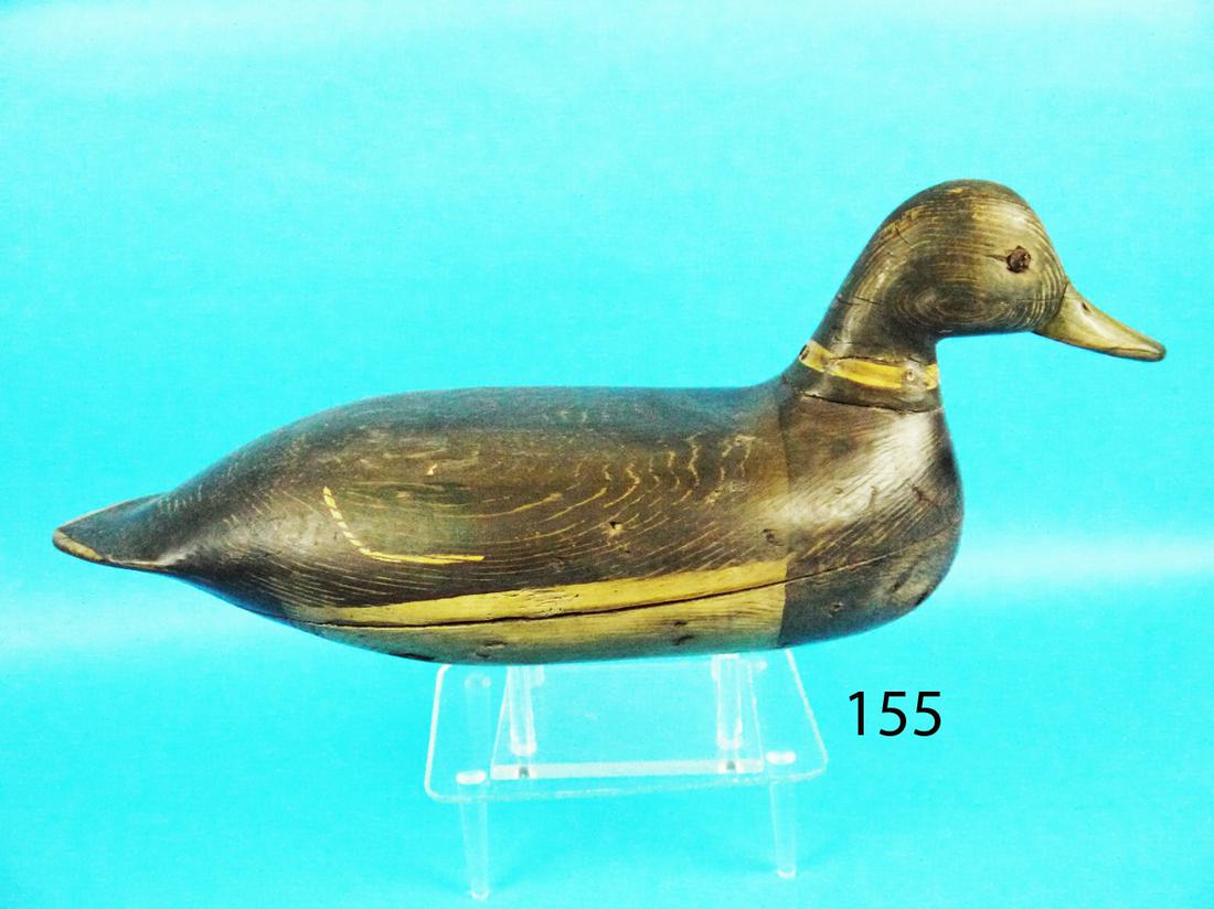 MALLARD DRAKE, H.V. SHOURDS ATTRIB. (1 of 1)