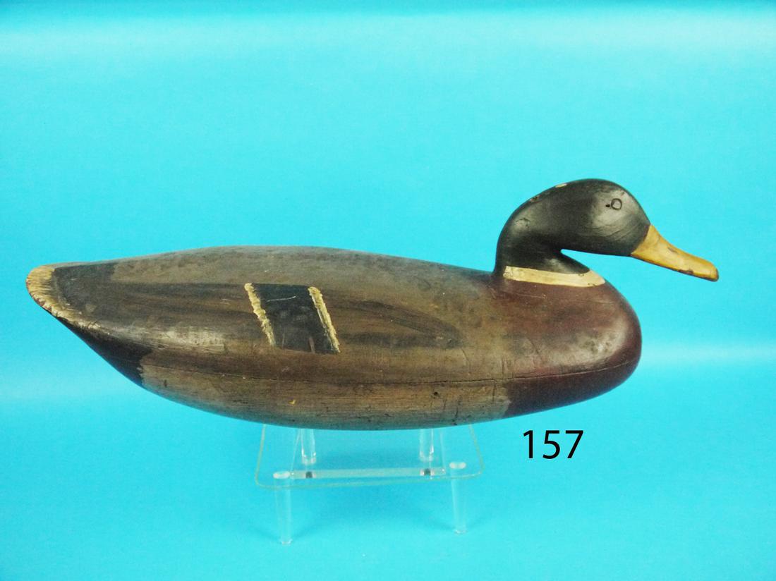 MALLARD DRAKE, E. HILDRETH ATTRIB. (1 of 1)