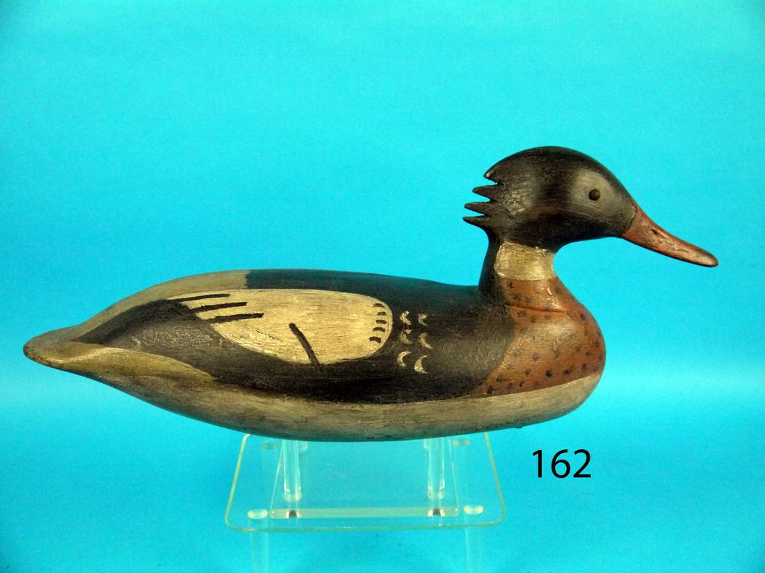 RED BREAST MERGANSER DRAKE, NJ (1 of 1)