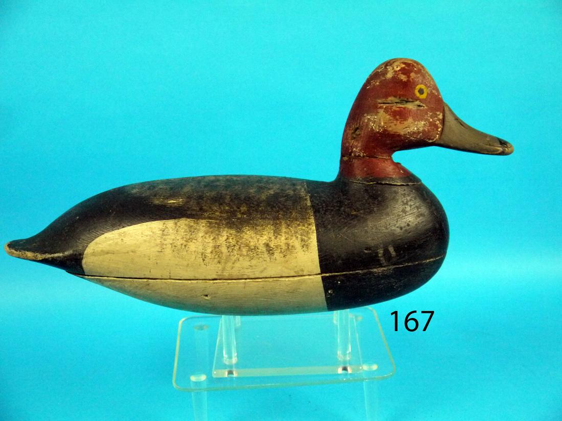 RED HEAD DRAKE, H.V. SHOURDS (1 of 1)