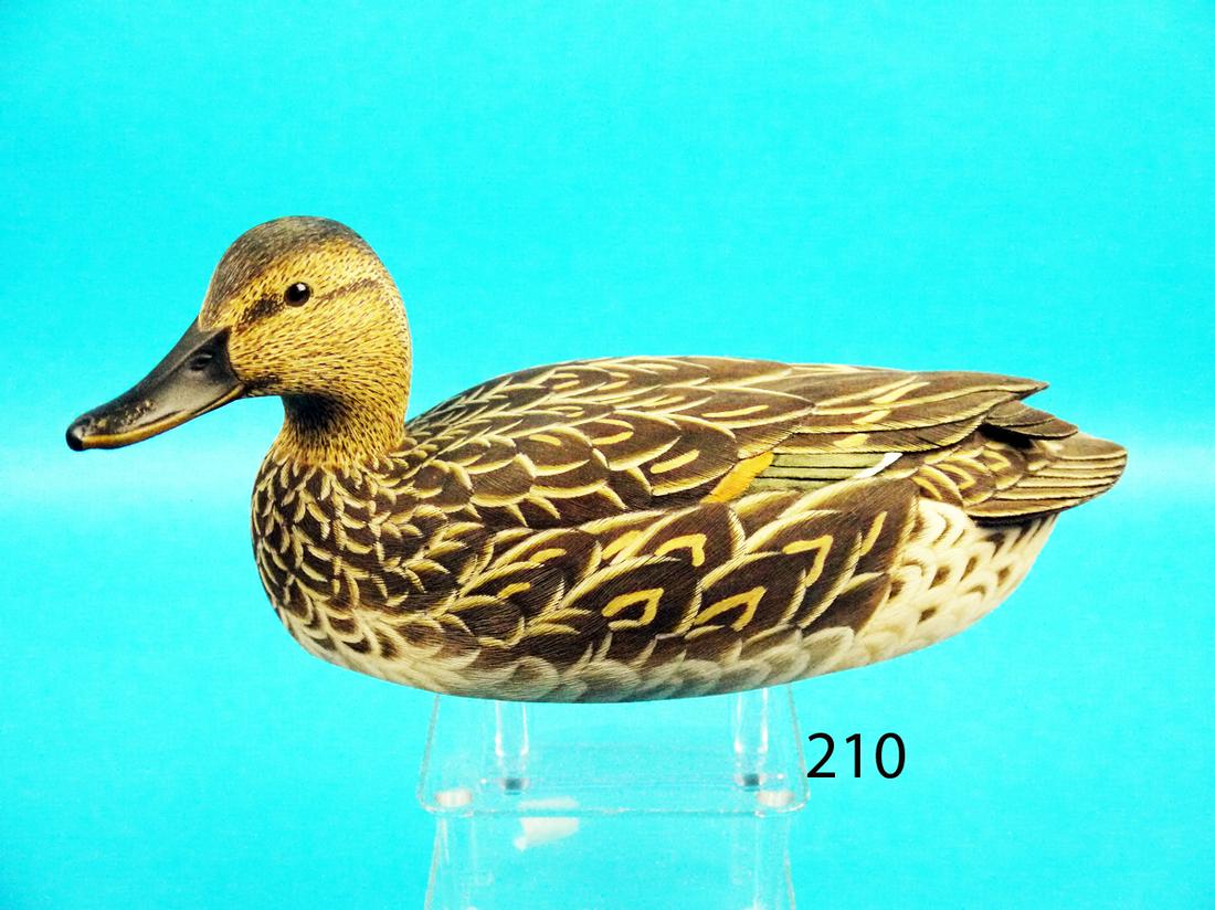 GREEN WING TEAL HEN, D. MORLEY: FINE GREEN WING TEAL HEN by Don Morley, Ogdensburg, NY. Excellent original paint and condition. Competition carving with relief-raised wings and multiple layered carved wings. Fluted tail carving. Fin