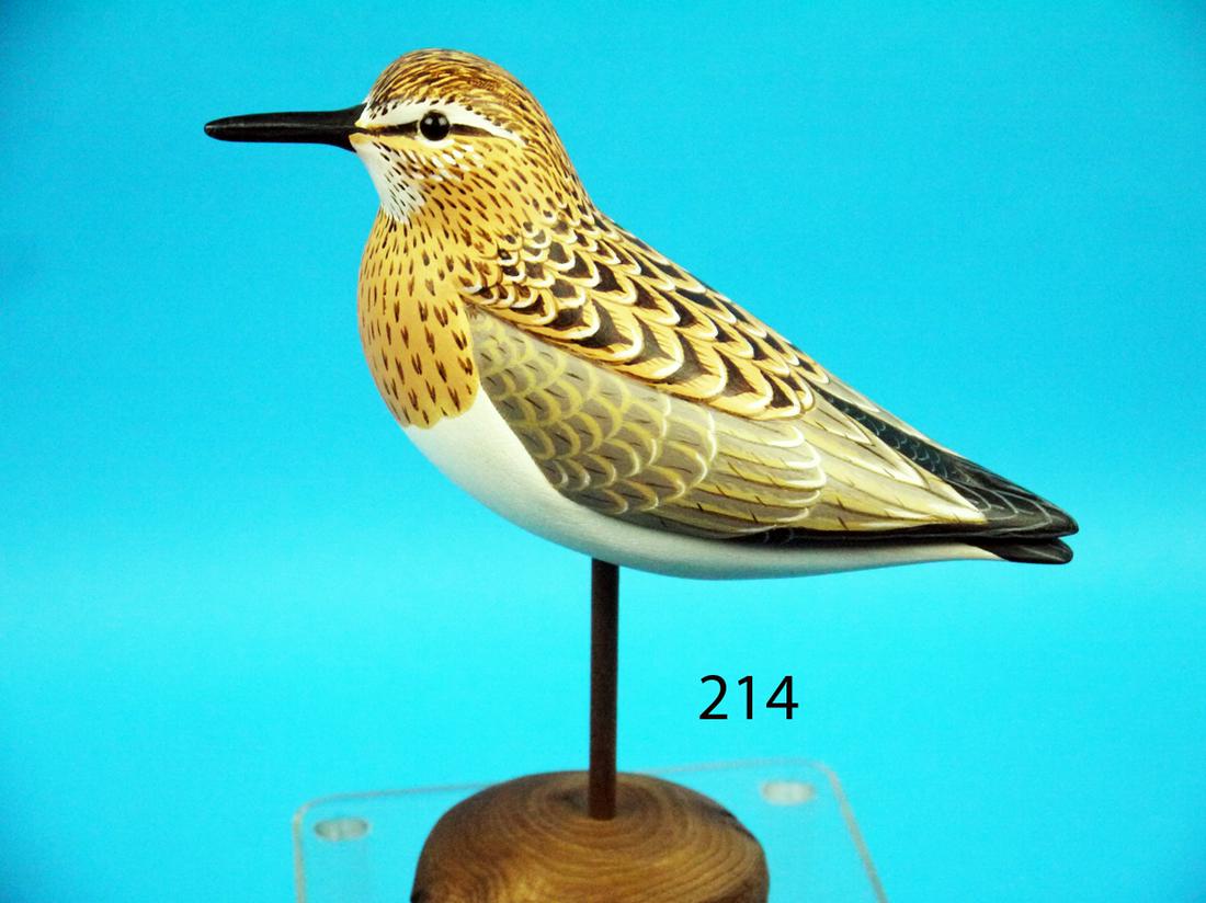 BAIRD'S SANDPIPER, M. SCHEEL (1 of 1)