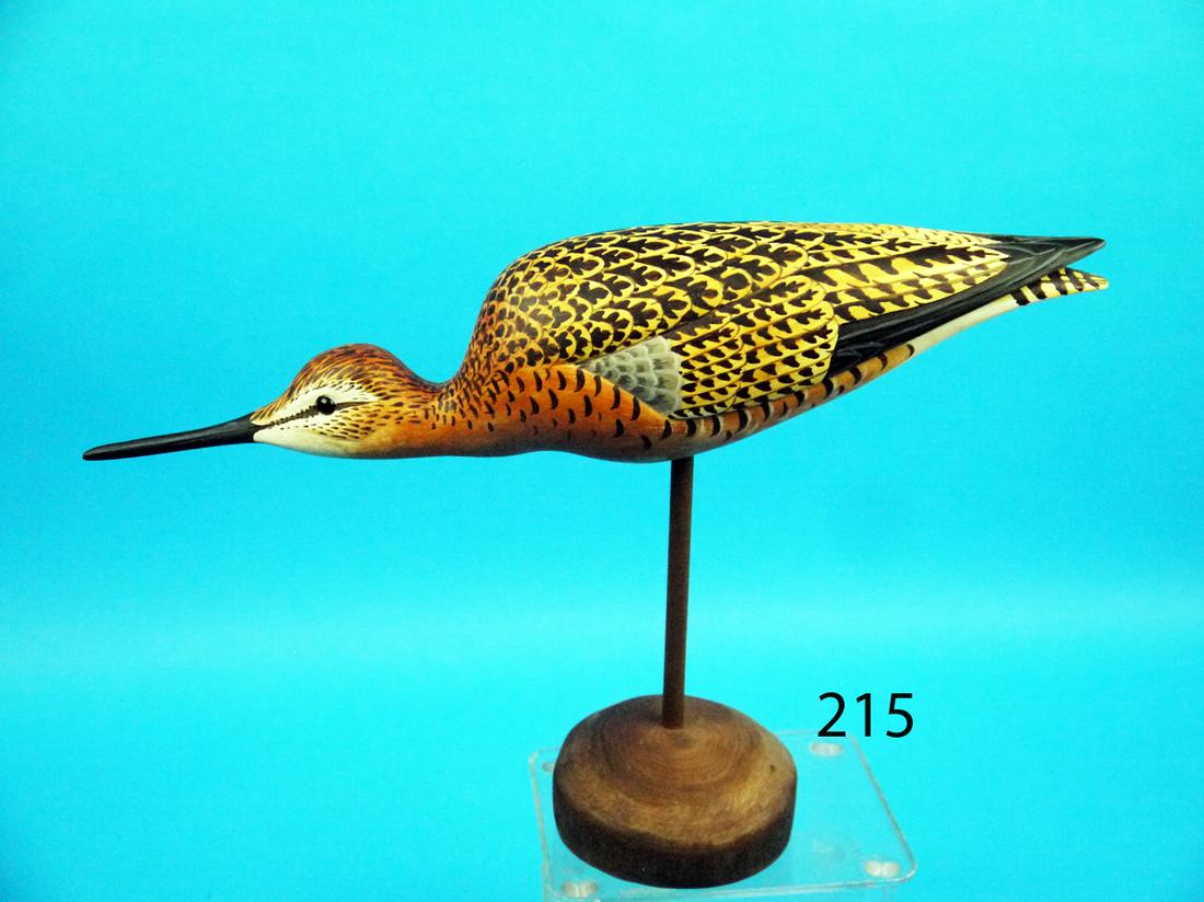 DOWITCHER, M. SCHEEL (1 of 1)