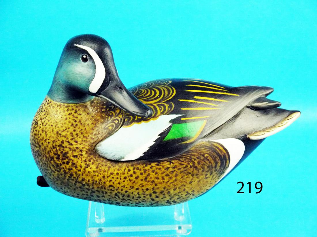 BLUE WING TEAL DRAKE, L. MAIORANO (1 of 1)