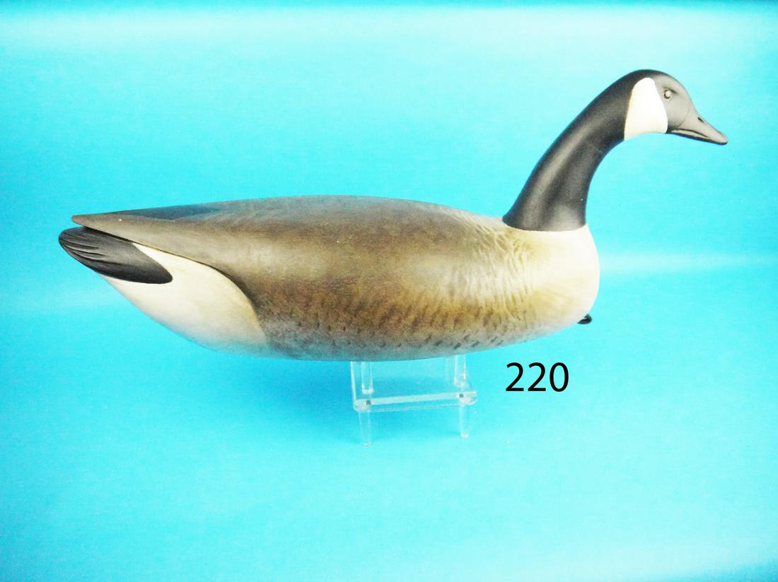 CANADA GOOSE, L,. MAIORANO (1 of 1)