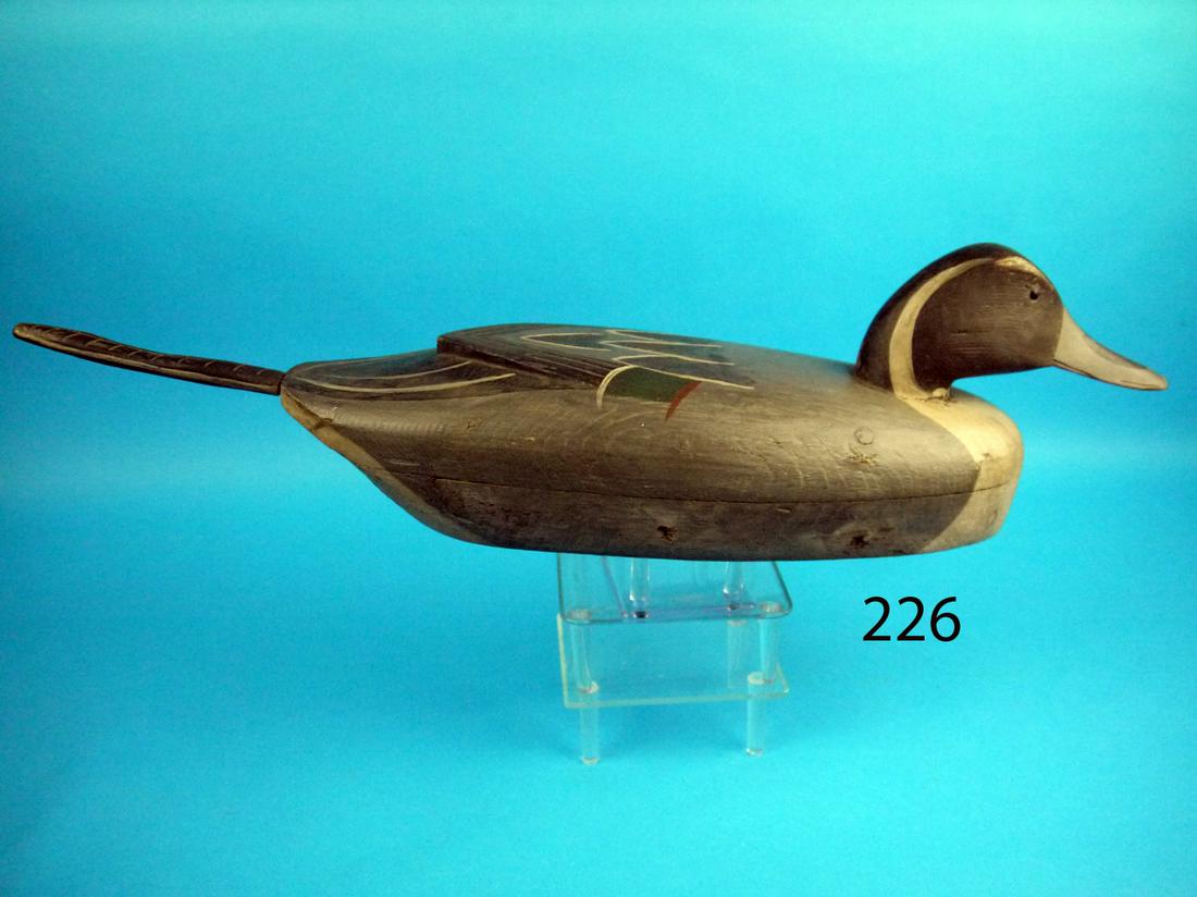 PINTAIL DRAKE, H. FENNIMORE ATTRIB. (1 of 1)