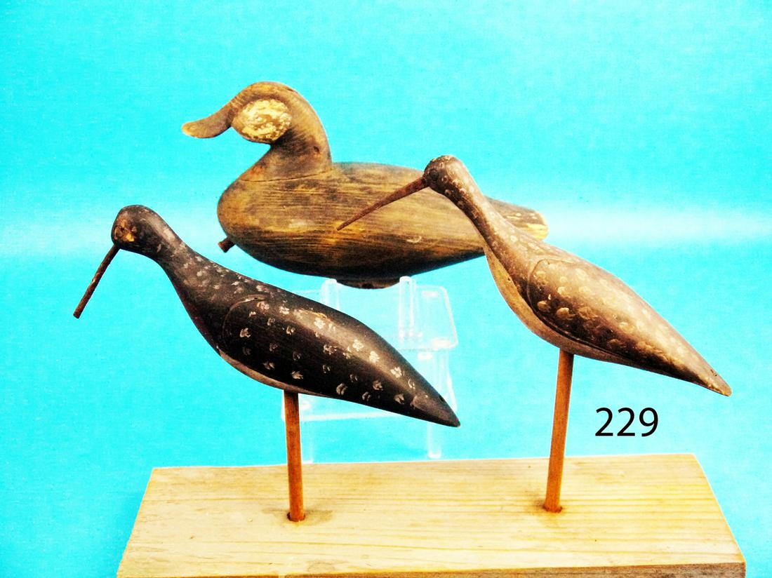 TWO SMALL SHOREBIRDS/RUDDY DUCK, NEW JERSEY (1 of 1)