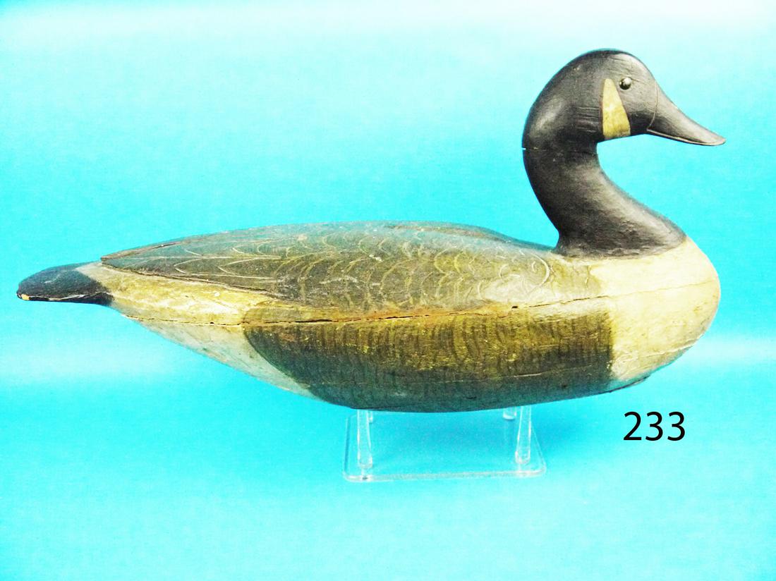 CANADA GOOSE, DELAWARE RIVER (1 of 1)