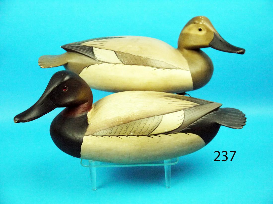 CANVASBACK PAIR, W. ETHINGTON (1 of 1)