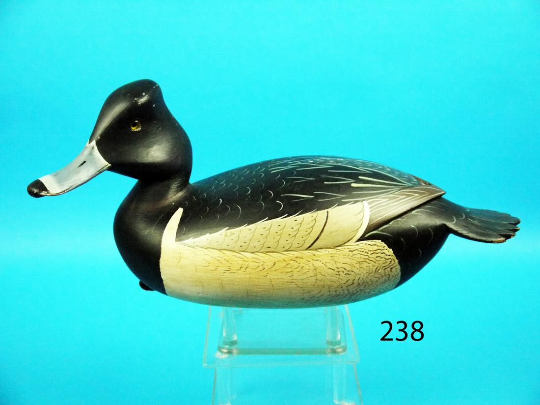 RING NECK, W. ETHINGTON (1 of 1)