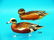 ONE-THIRD SIZE WIDGEON PAIR, J.WOOD