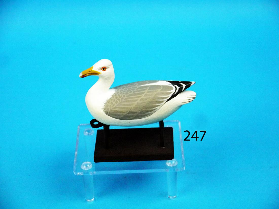 MINIATURE HERRING GULL, J. WOOD (1 of 1)