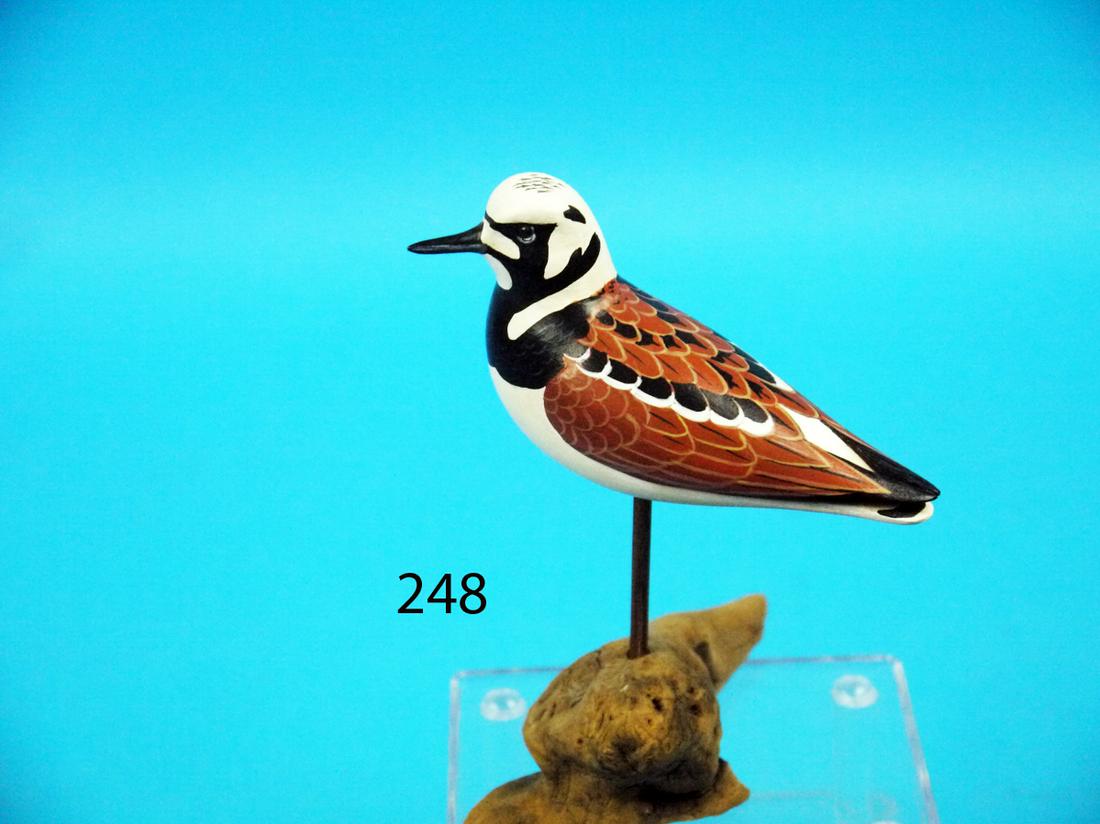 MINIATURE RUDDY TURNSTONE, M. SCHEEL (1 of 1)