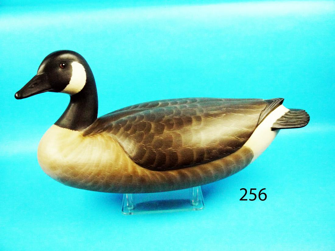 CANADA GOOSE, F. JENNINGS (1 of 1)