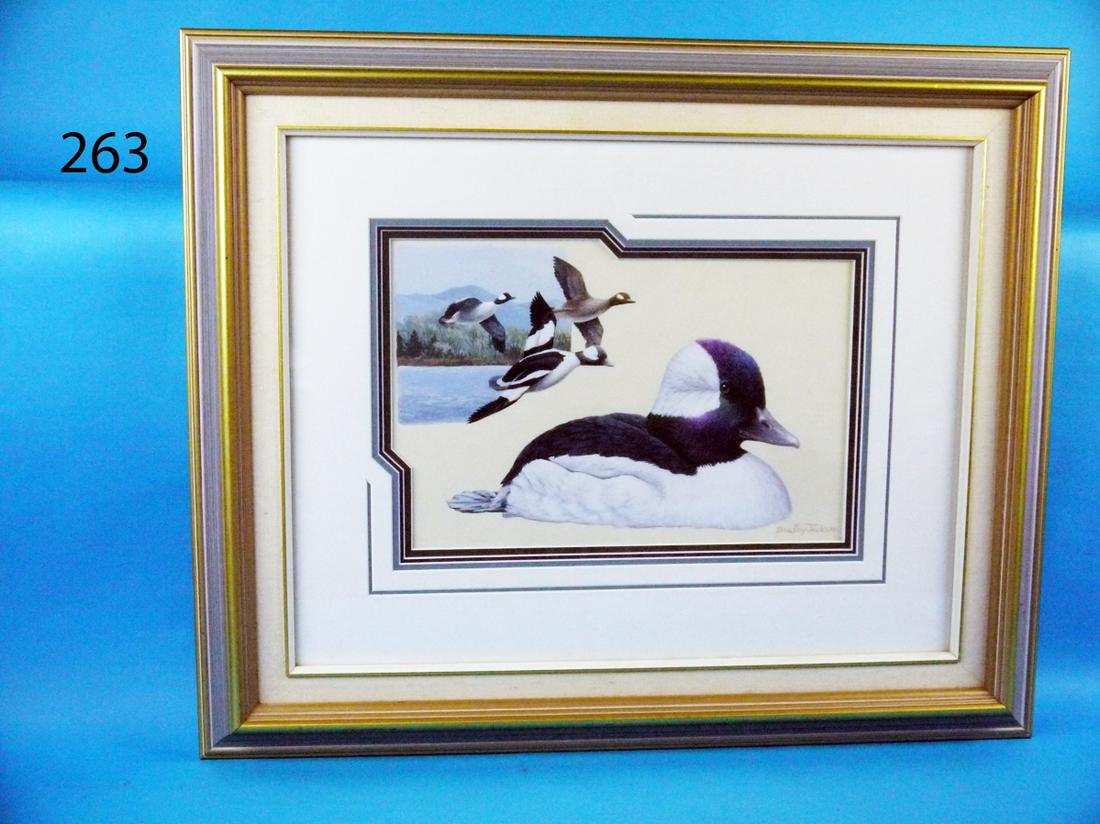 ACRYLIC ON BOARD, BUFFLEHEADS, B. JACKSON (1 of 1)