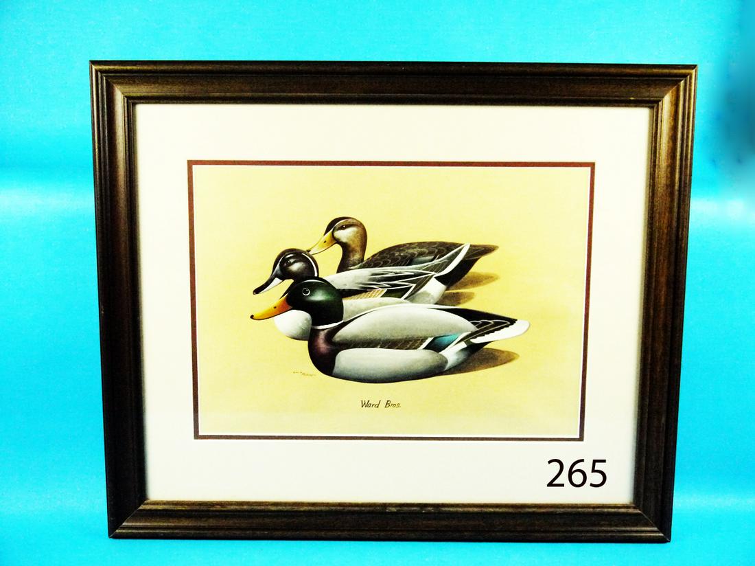 WATERCOLOR, L. FRISINO (1 of 1)