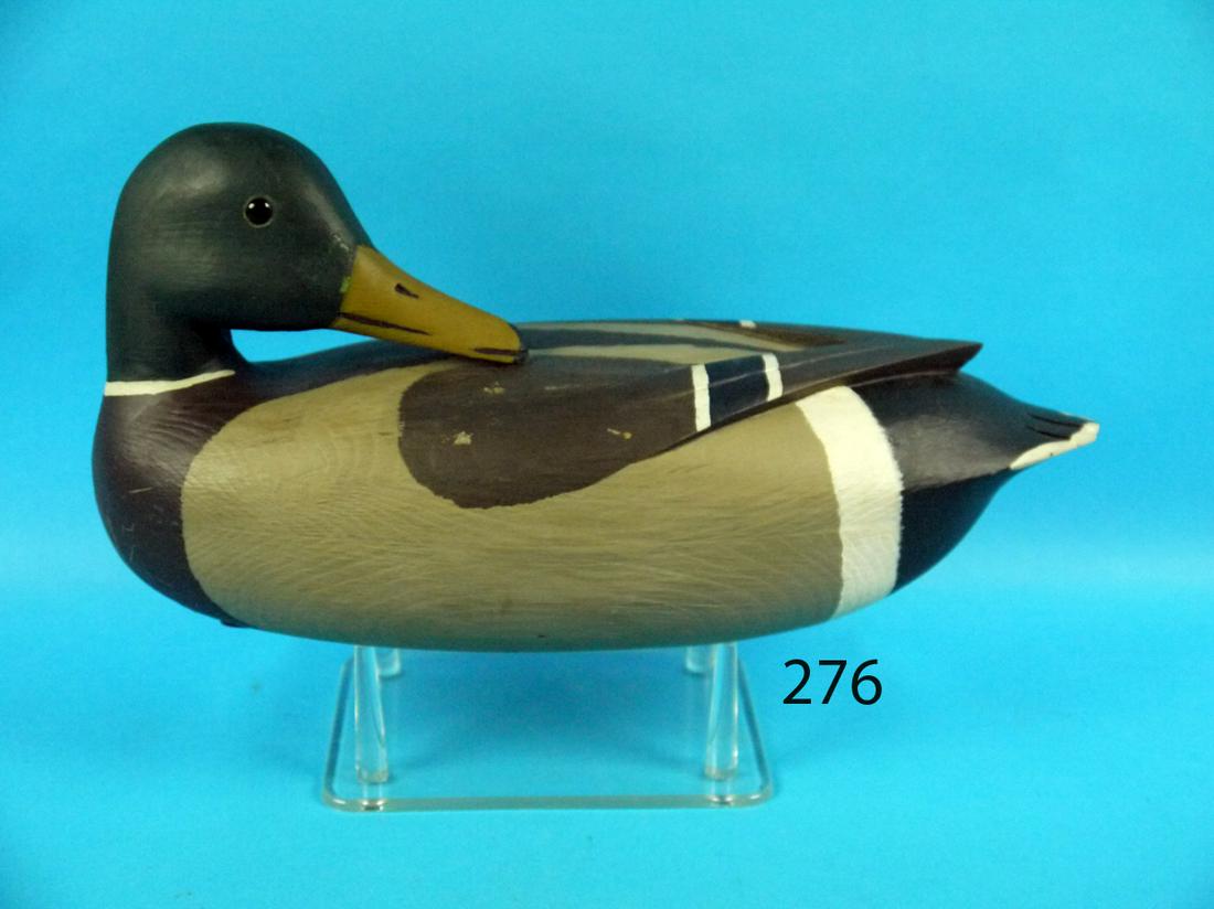 PREENING MALLARD DRAKE, J. BAKER (1 of 1)