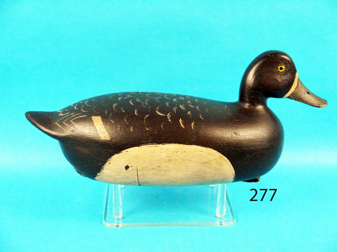 BLUEBILL DRAKE, C.C. BURKLEY (1 of 1)