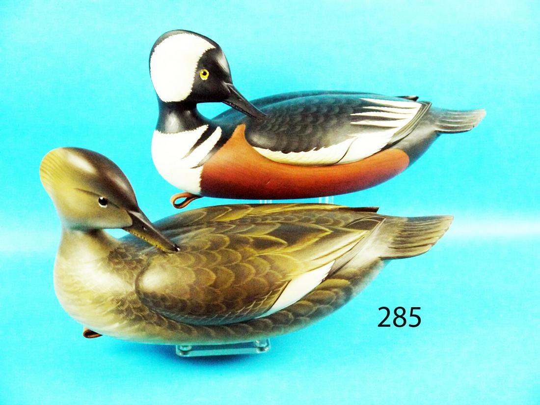 HOODED MERGANSER PAIR, G. STRUNK (1 of 1)