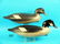 GOLDENEYE PAIR, G. STRUNK