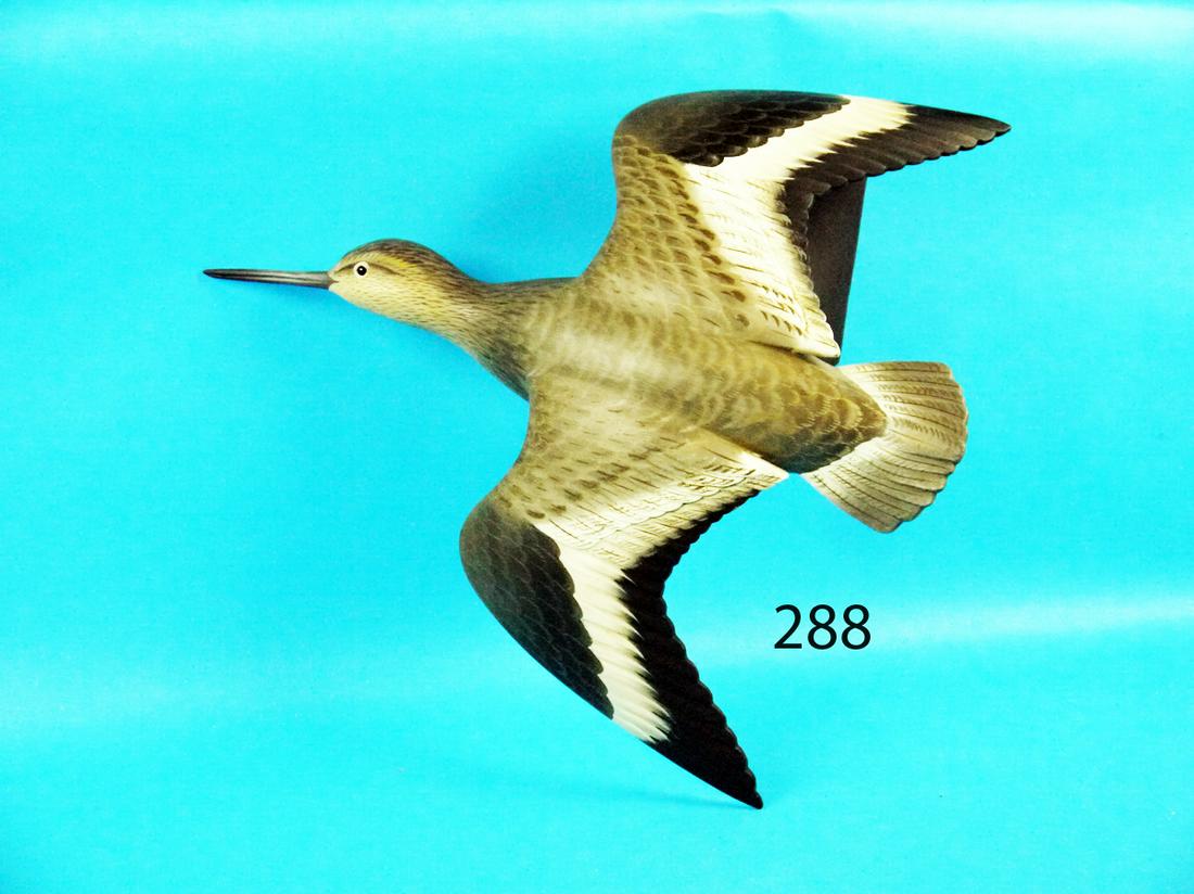 RARE FLYING WHIMBREL, G. STRUNK (1 of 1)