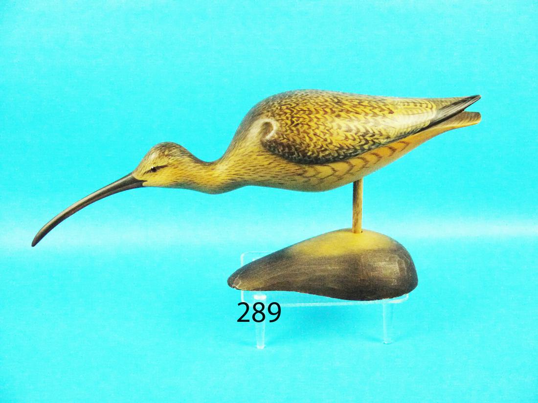 CURLEW, G. STRUNK (1 of 1)