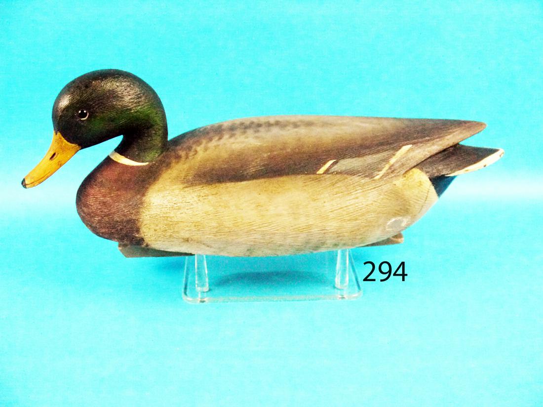 MALLARD DRAKE, M. HANSON (1 of 1)