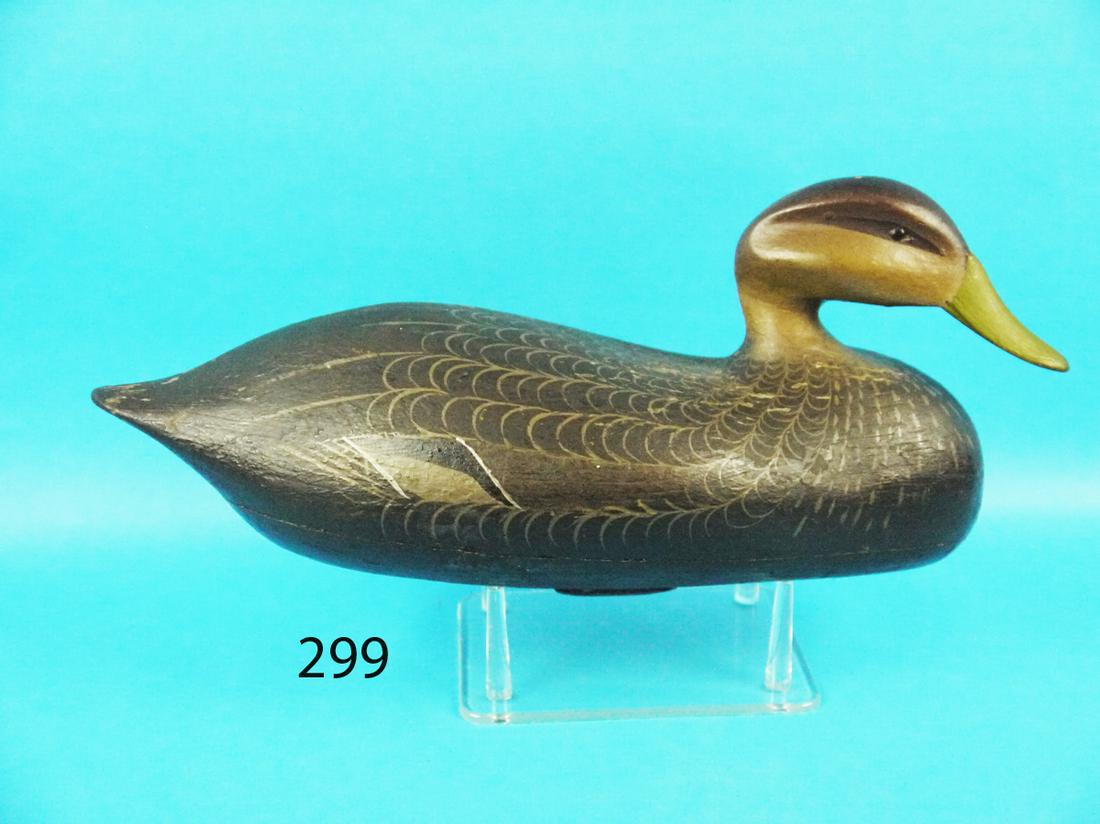 BLACK DUCK, C. MADARA (1 of 1)