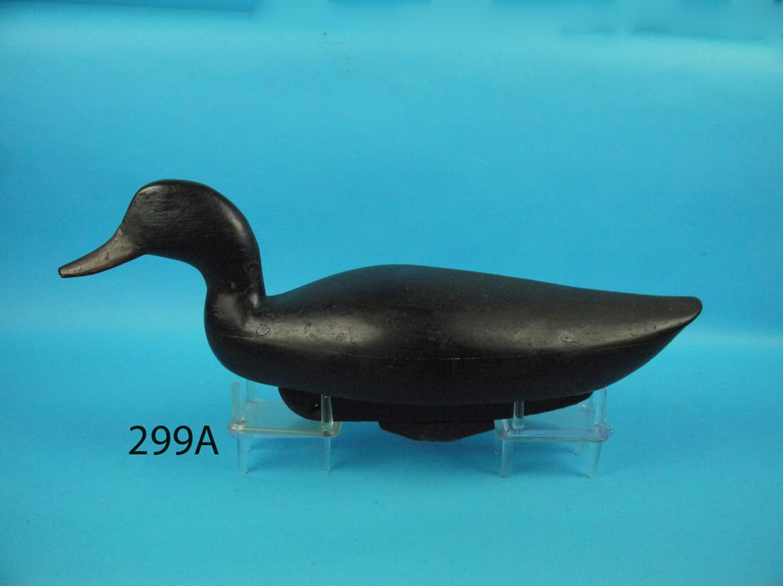 BLACK DUCK, BLAIR SCHOOL (1 of 1)