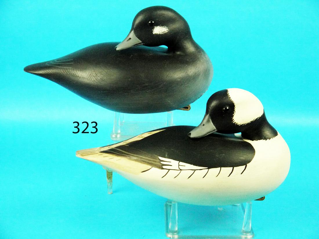 BUFFLEHEAD PAIR, C. FENNIMORE (1 of 1)