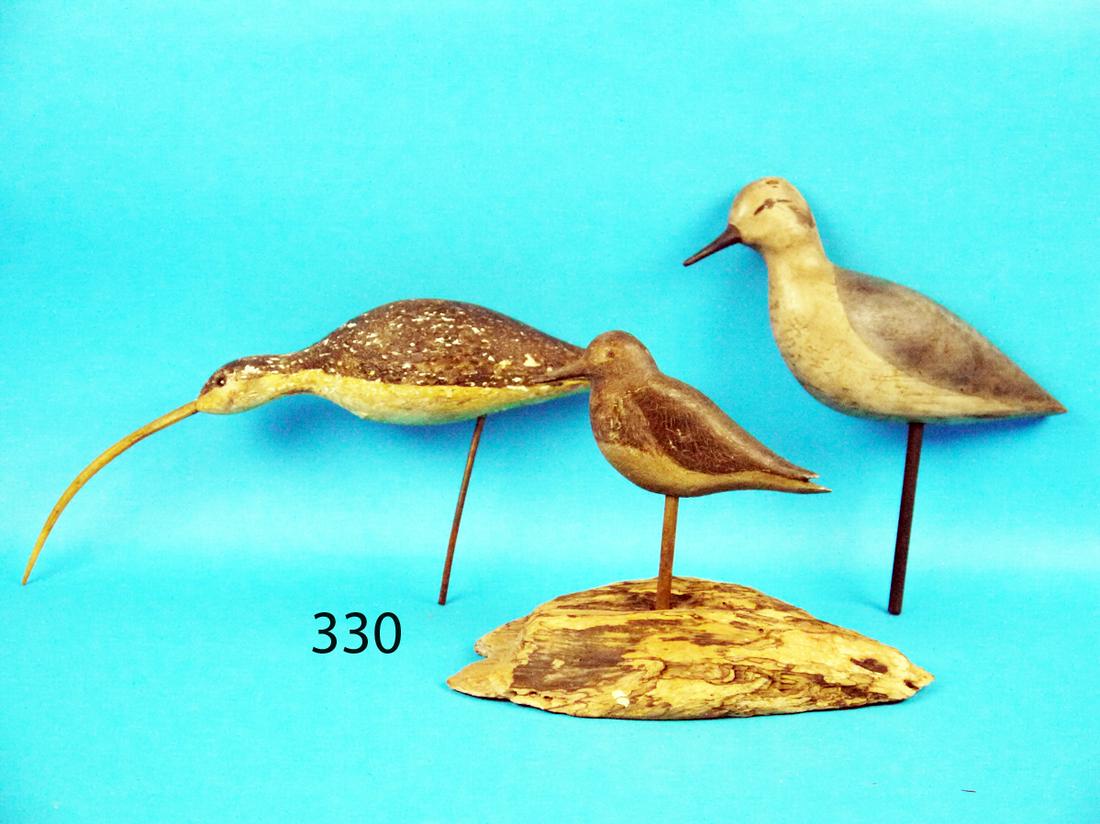 THREE SHOREBIRDS (1 of 1)