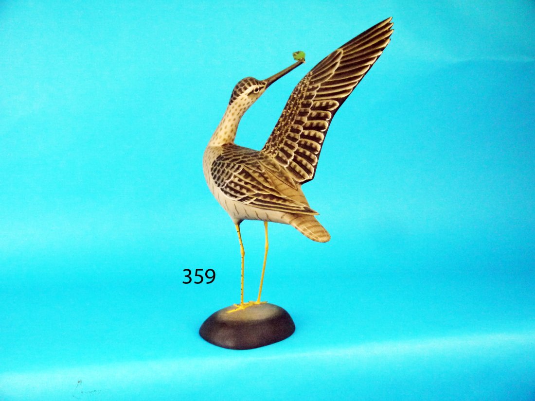 RARE YELLOWLEG, J. LAPHAM (1 of 2)