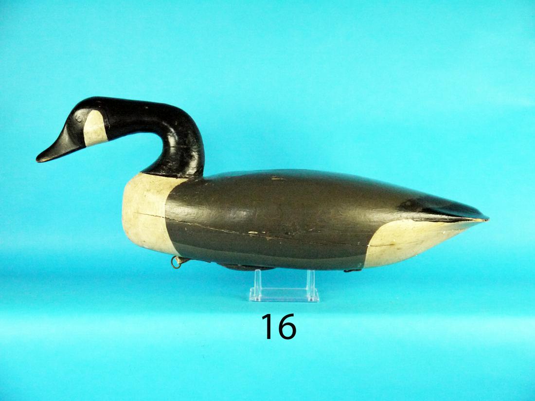 HISSING CANADA GOOSE, H. CONKLIN (1 of 1)