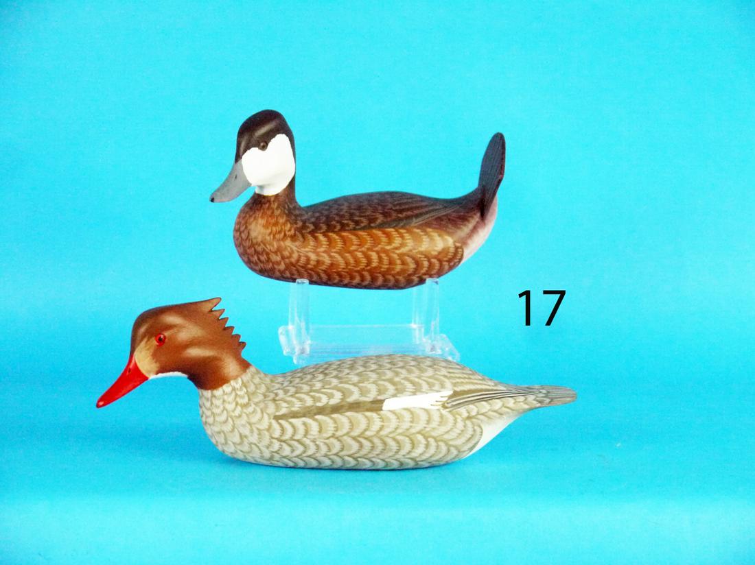 HALF-SIZE RUDDY/MERGANSER, H.V. SHOURDS (1 of 1)