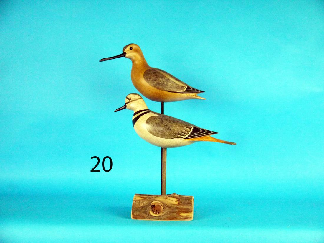 KILLDEER/DOWITCHER, H.V. SHOURDS (1 of 1)