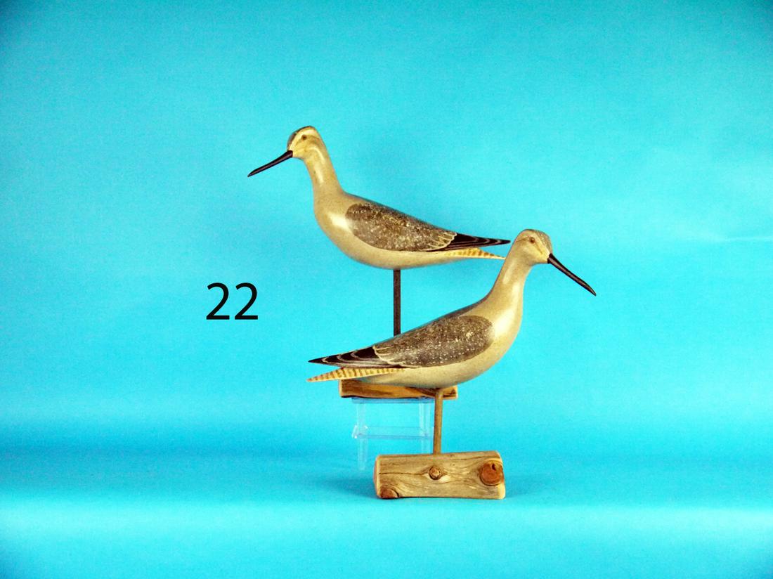 YELLOWLEG PAIR, H.V. SHOURDS (1 of 1)