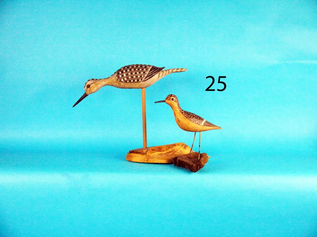 TWO SHOREBIRDS, SHOURDS/KEIM (1 of 1)