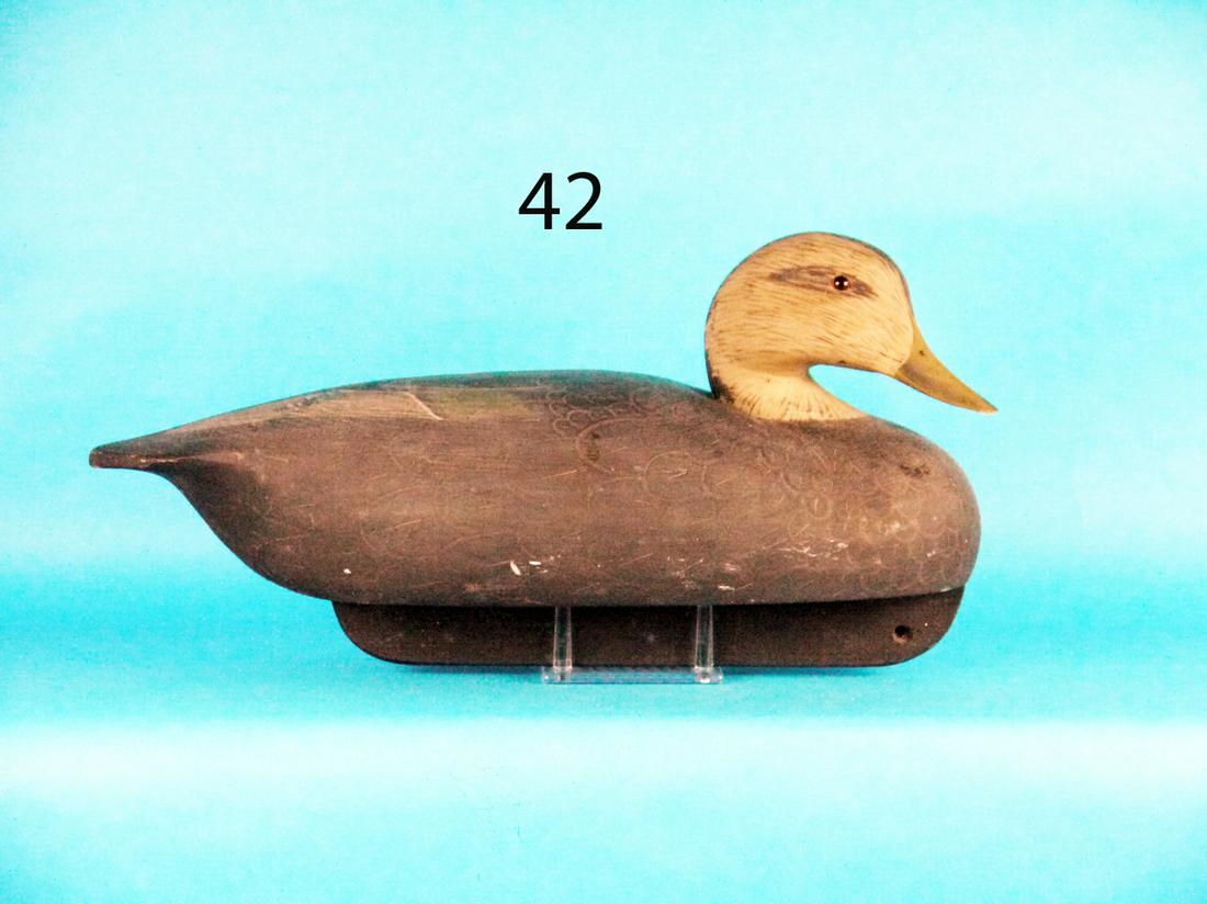 OVERSIZED BLACK DUCK, K. HARRIS (1 of 1)