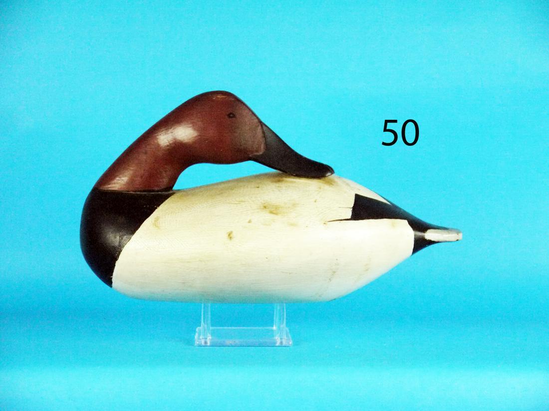 CANVASBACK DRAKE, H. GRAHAM (1 of 1)