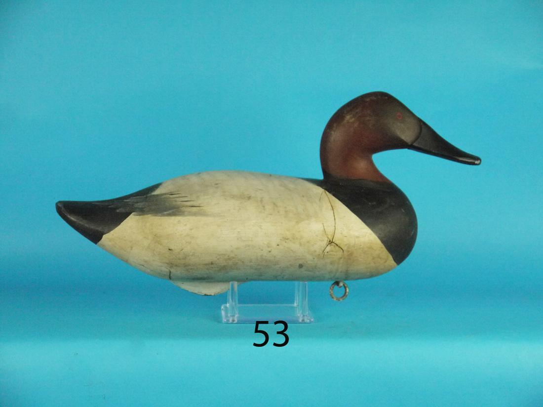 CANVASBACK DRAKE, R.M. MITCHELL (1 of 4)