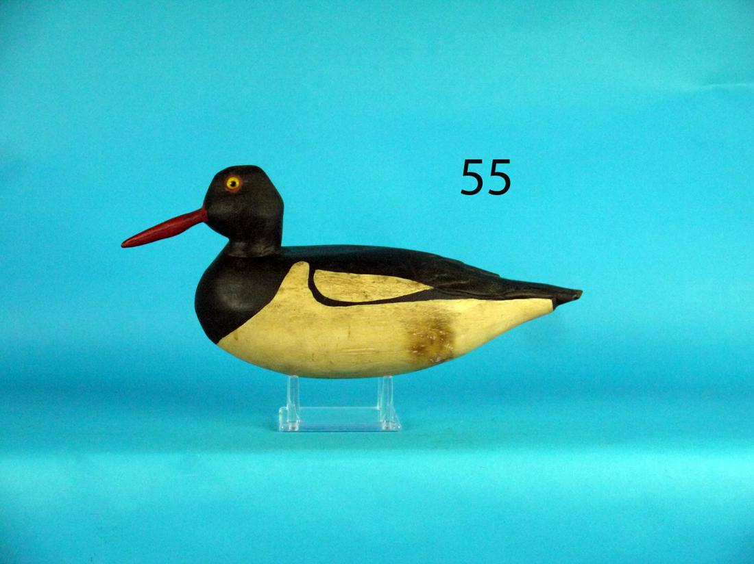 OYSTER CATCHER (1 of 1)