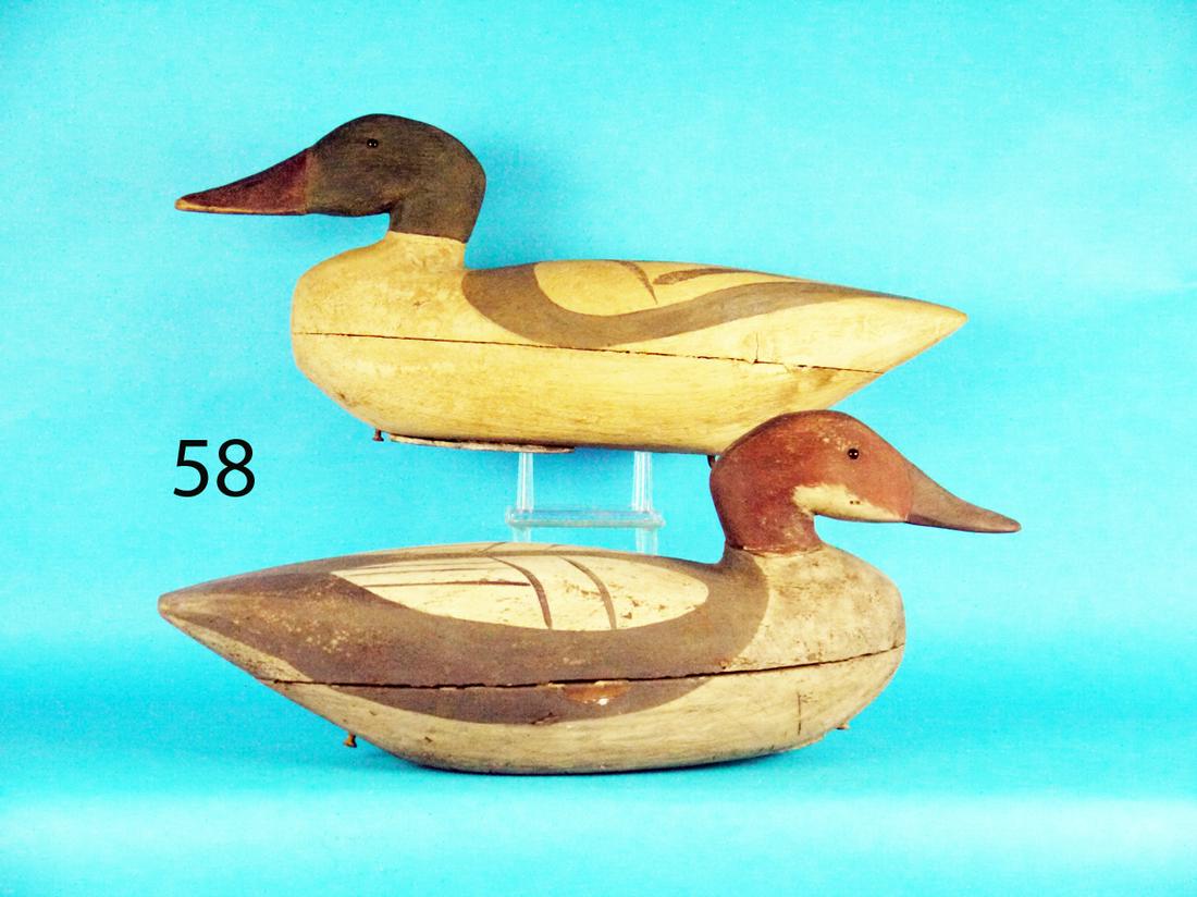 MERGANSER PAIR, C. DABLER (1 of 1)