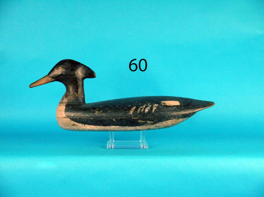 MERGANSER HEN, O. RIDGEWAY (1 of 1)