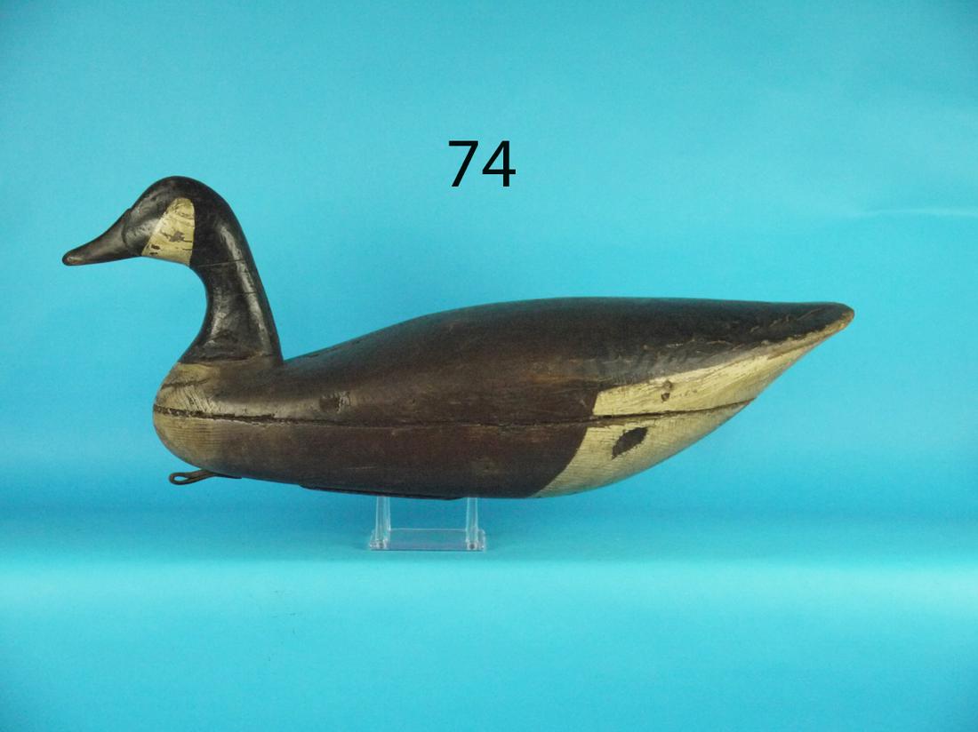 CANADA GOOSE, J. BIRDSALL (1 of 4)